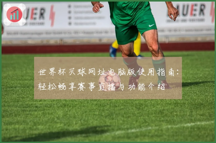 世界杯买球网址电脑版使用指南：轻松畅享赛事直播与功能介绍