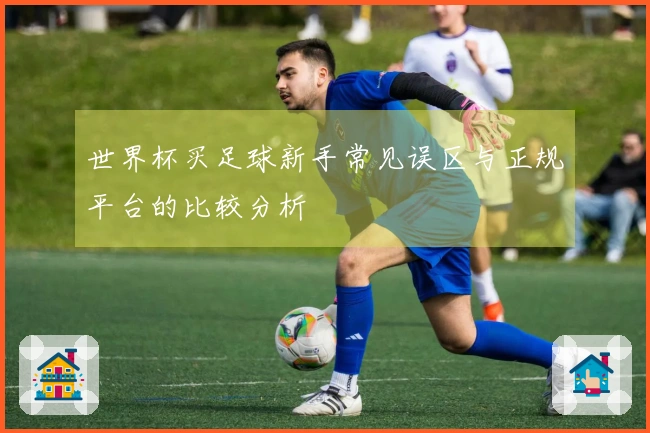 世界杯买足球新手常见误区与正规平台的比较分析