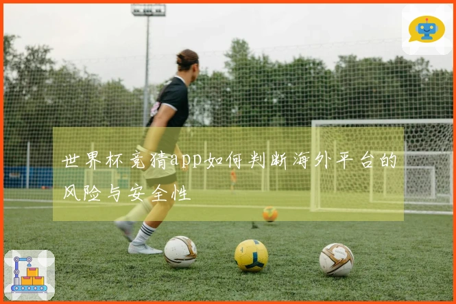 世界杯竞猜app如何判断海外平台的风险与安全性