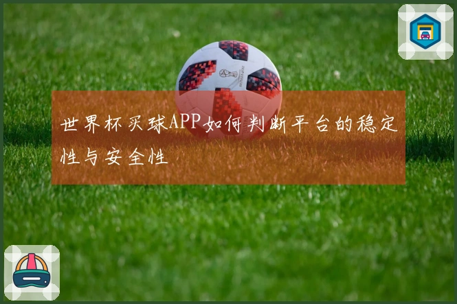 世界杯买球APP如何判断平台的稳定性与安全性