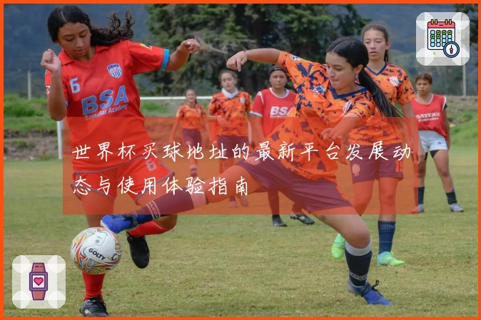 世界杯买球地址的最新平台发展动态与使用体验指南
