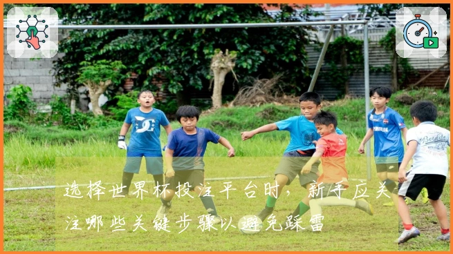 选择世界杯投注平台时，新手应关注哪些关键步骤以避免踩雷