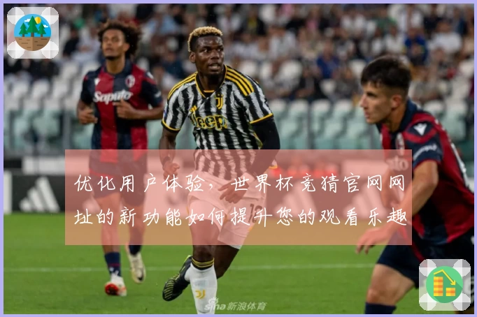 优化用户体验，世界杯竞猜官网网址的新功能如何提升您的观看乐趣