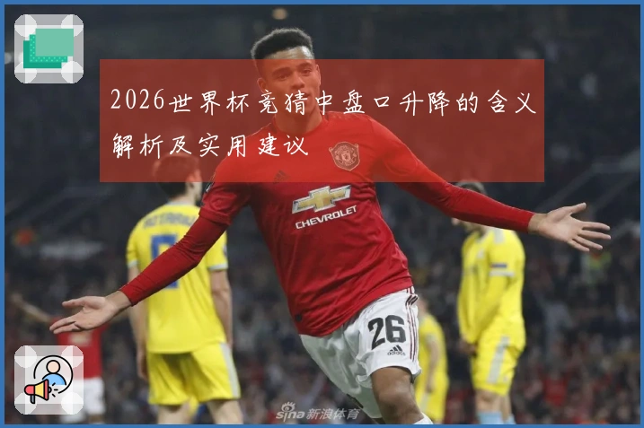 2026世界杯竞猜中盘口升降的含义解析及实用建议