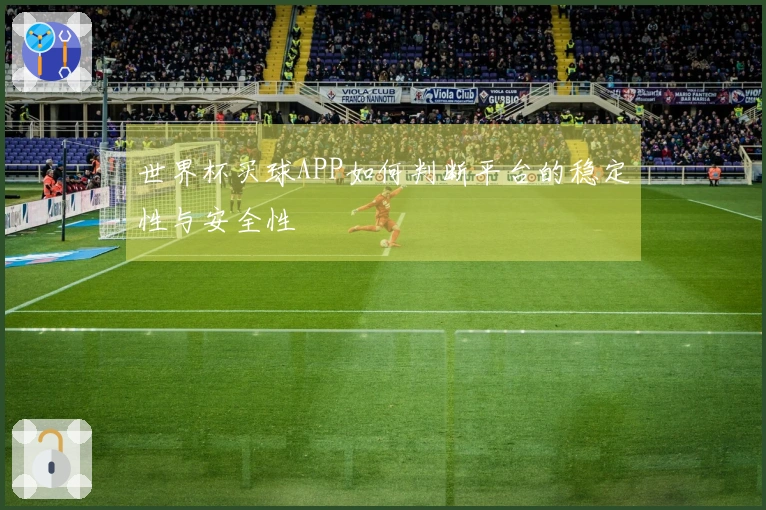 世界杯买球APP如何判断平台的稳定性与安全性