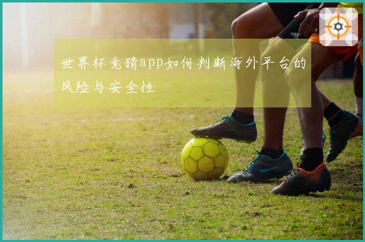 世界杯竞猜app如何判断海外平台的风险与安全性