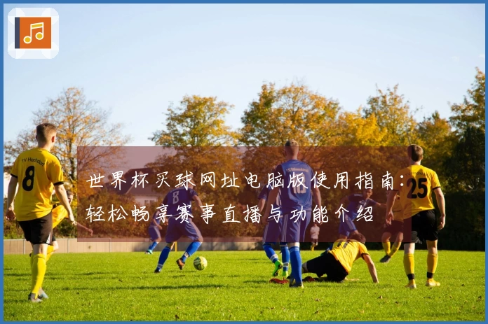 世界杯买球网址电脑版使用指南：轻松畅享赛事直播与功能介绍